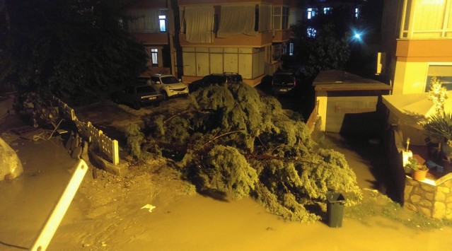 Alanya'da şiddetli yağmur nedeniyle su basan bir alt geçitte iki araç tamamen sular altında kaldı. Aracı sular altında kalan otomobil sürücüsü canını yüzerek kurtardı.