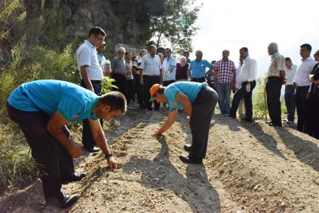 Endemik bitki türleri arasında yer alan ve ticari değeri yüksek Salep orkidesini yaygınlaştırmak ve kırsal bölgelerde yeni bir gelir kaynağı oluşturmak için Üzümlü Mahallesi’nde Alanya Belediyesi tarafından salep orkidesi tohumu dağıtıldı.