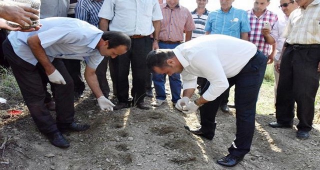 Alanya Belediyesi ve Alanya Ziraat Odası’nın ortaklaşa sürdürdüğü proje kapsamında Üzümlü Mahallesinde hazırlanan ekim alanında salep orkideleri toprakla buluştu.