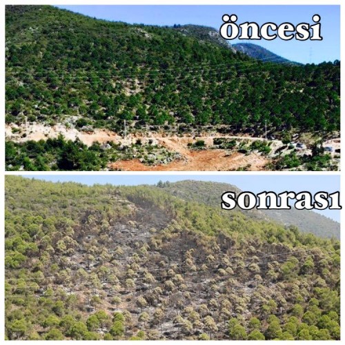 Sıcaklığın yüksek, nispi nemin düşük ve rüzgârın etkili olduğu hava durumu son bir haftadır yurdun büyük bölümü gibi Alanya İlçemizde de orman yangını riskini artırmış buna bağlı olarak son bir haftada değişik mevkilerde 8 adet orman yangını meydana gelmiştir.