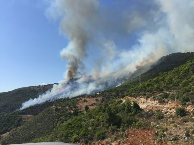 Diğer yangınların ise genelde ihmal ve dikkatsizlik sonucu daha çok ziraat arazisinden başlayıp ormana sirayet ederek meydana geldiği tespit edilmiştir. Kasıt olanların faillerinin bulunması ve yangının nedenleri kendi kolluk kuvvetlerimiz ve ilgili kamu kurumları aracılığıyla soruşturma yürütülmektedir. Faillerin tespiti durumunda bu konuda gerekli yasal işlemler yapılacaktır. Yangınlarla ilgili hasar tespit ve maliyet hesaplaması yapılmaktadır.