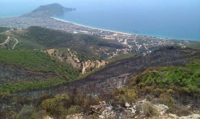 Yanan orman alanlarını bu 2016 yılı ilkbaharı itibariyle ağaçlandırılmış olacaktır. Hıdırellez mevkiinde birbirine yakın en az iki noktada başlayan 15 hektarlık ağaçlandırma sahasının yanmasına neden, olan, bizleri ve Alanyalıları derinden üzen, orman yangınına ayrıca değinmek istiyorum.