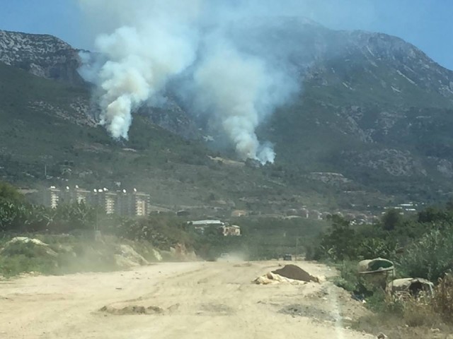 Orman yangınlarıyla mücadelede fedakarca büyük çaba sarfeden teşkilat mensupları ateş savaşçılarımıza ve Alanya İtfaiye Müdürü Sayın Mehmet Oral ve ekibi üzere, emniyet ve jandarma yetkililerine ve gönüllü vatandaşlarımıza çok teşekkür ediyorum.