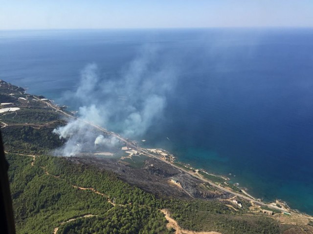 Yangınlardan geriye bu görüntüler kaldı