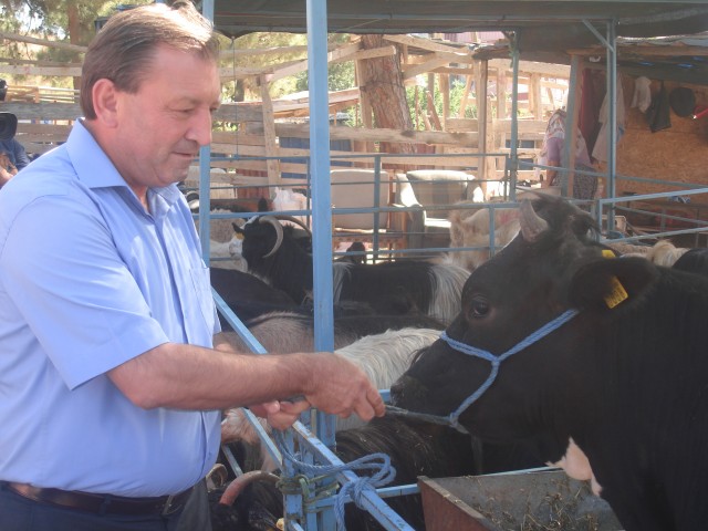 Denetimlerin sadece kurban kesim alanlarında olmayacağını ifade eden Rüzgar, Kurban Bayramı öncesi ve devamında Alanya’da faaliyet gösteren pastane,  tatlı üretim ve satış yerleri, fırınlar, toplu tüketim yerlerinin denetleneceğini sözlerine ekledi. Vatandaşların olumsuz bir durumla karşılaşması durumunda mutla görevlilerle irtibata geçmesini söyledi.
