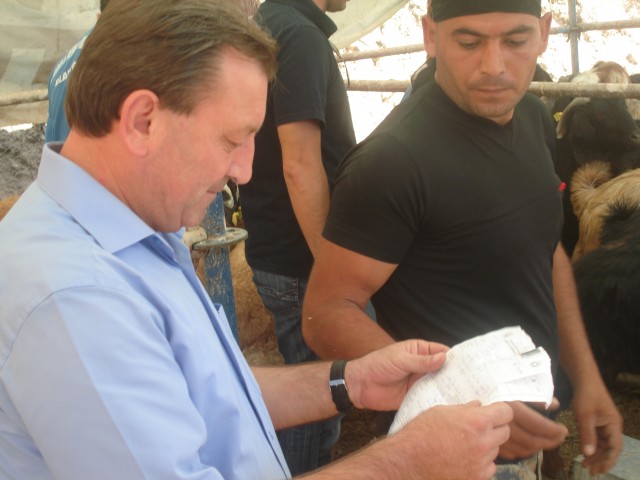 Geçen yıla oranla büyükbaş hayvanlarda artış bin- bin 500 arasında yükseliş gözlenirken, küçükbaş havyalarda ise geçen yıla oranla 100 liralık bir artış söz konusu oldu.