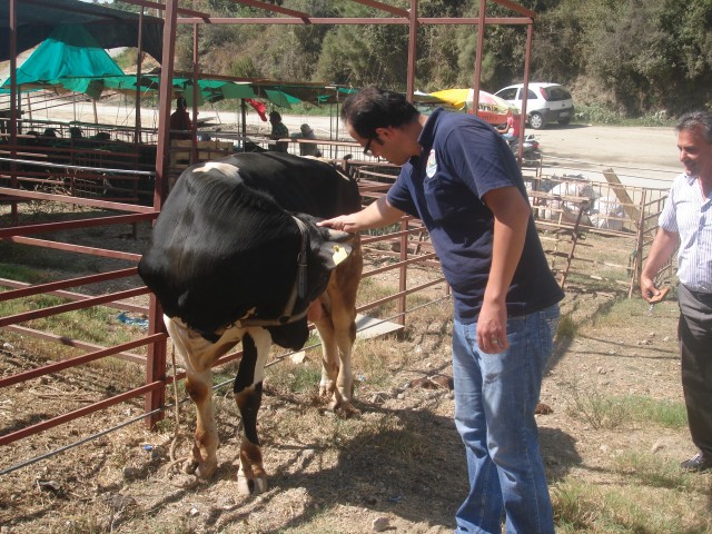 Yetkililerin bu duruma bir çare bulması gerekiyor. Normal bir kasaptan alınan etle kurban aynı paraya geliyor” dedi.