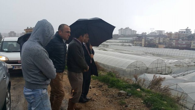 Alanya İlçe Tarım Müdürü Mehmet Rüzgar ve Antalya Büyükşehir Belediyesi Alanya Koordinatör Yardımcısı Nurettin Uludağ, dün gece yaşanan aşırı yağmur, fırtına ve hortumda zarar gören Konaklı Mahallesi'nde incelemelerde bulundular. 

Özellikle Konaklı bölgesinde hortumdan 100'e yakın seranın zarar gördüğü, ağaçların yıkıldığı ve çatıların uçtuğu bölgeye fiden Alanya İlçe Tarım Müdürü Mehmet Rüzgar ve Antalya Büyükşehir Belediyesi Alanya Koordinatör Yardımcısı Nurettin Uludağ, zarar gören vatandaşlara geçmiş olsun dileginde bulunup, hasar tesbiti yapıyorlar. Bu arada şiddetli fırtına bazı araçları bile devirdi.