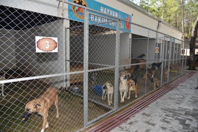 Alanya Belediye Başkanı Adem Murat Yücel, yeni Belediye binası inşaatının ardından, Oba Mahallesi’nde yapımı devam eden Cenaze Hizmetleri Binası, Asfalt Plenti, Yeni Oba Çayı Köprüsü, Kestel Prestij Caddesi, Kestel’e yapılan Çok Programlı Anadolu Lisesi inşaatı, Mahmutlar’da Kırlangıç Parkları ve Şairler Parkı, restorasyon çalışmalarının sürdüğü Sedre Av Köşkü, Demirtaş Kültür Merkezi ve Düğün Salonu ile Demirtaş Hayvan Barınağını basın mensuplarına tanıttı.