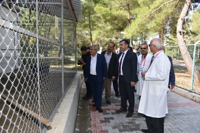 DOĞU MAHALLELERİMİZİN KADERİNİ DEĞİŞTİRİYORUZ