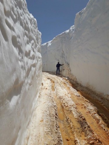 Alanya'da truzim sezonun açılması ile vatandaşlar denizlere akın ederken bir yandan da Alanya'nın bir çok yaylasında metrelerce yükseklikte kar var.

-Hadim-