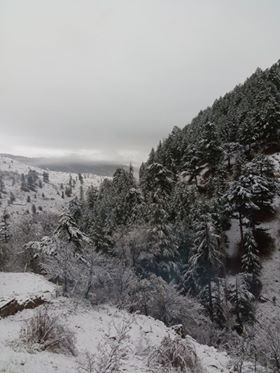 Gece hava sıcaklığının 10 derecenin altına düştüğü yaylalarda kar yağışıda özellikle yüksek kesimlerde etkili oldu. Yaylalarda yaşayan vatandaşlar sabah uyandıklarında gördükleri manzara karşısında şaşkına döndüler.