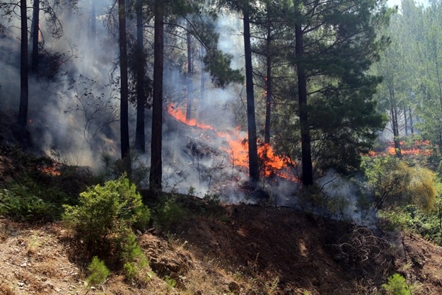 Sıcak hava ve rüzgarın da etkisiyle kısa sürede büyüyen ve yaklaşık 30 hektara yayılan yangına karadan ve havadan müdahaleye başlandı.