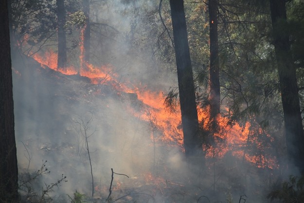 Yangının büyümesi nedeniyle jandarma ekipleri yerleşim yerlerini tahliye etmeye başladı