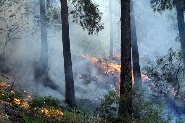 Zirvede yangına müdahale eden kara ekipleri ise yangından dolayı geri çekildi. Zirvede ise bir arazöz yangının içerisinde kalarak kullanılmaz hale geldi.