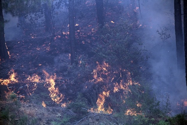 Bölgede yaşayan Ali Rıza Uyar, 2 saat önce yangın ihbarı geldiğini ve kaçın talimatı verdiğini söyledi.