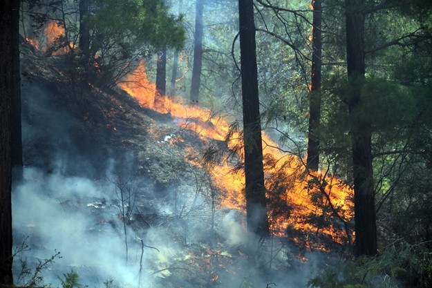 Uyar, "Yangın son derece büyüdü. Yapacak bir şey kalmadı. Yangının olduğu yerden aşağı tarafa kaçtık ve bekleyin diye talimat ettiler. Yaralılarında olduğu söyleniyor" dedi.