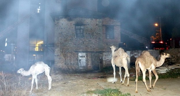 DEVELER YANMAKTAN SON ANDA KURTARILDI