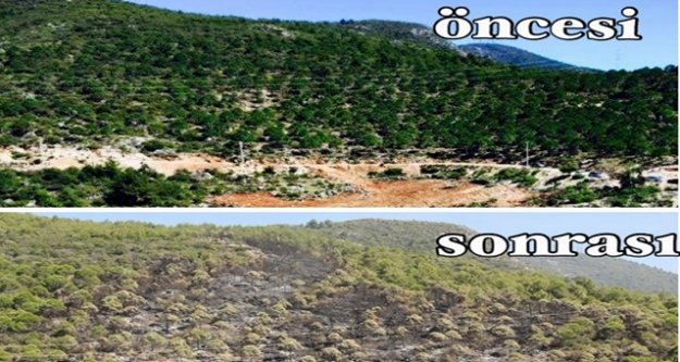 25 YILLIK EMEK 25 DAKİKADA KÜL OLDU