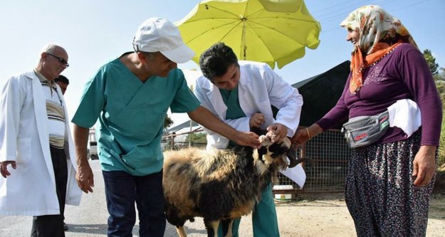 KURBANLIKLAR KONTROL ALTINDA