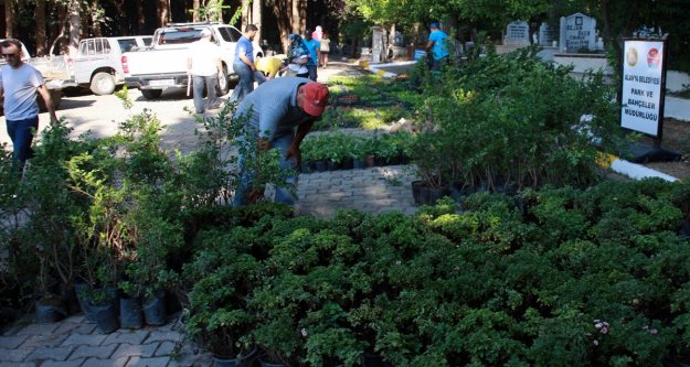 MEZARLIKLAR BAYRAMDA ÇİÇEK AÇACAK