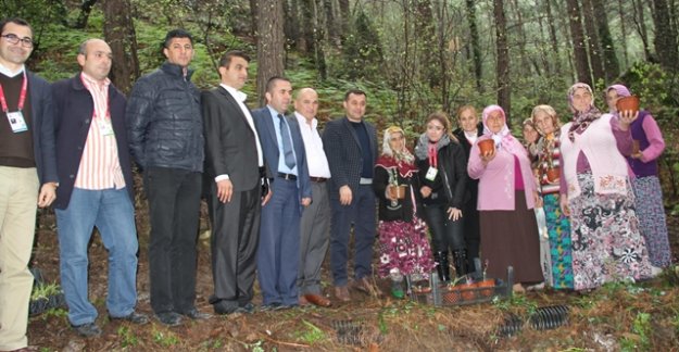 SAPADERE PROJESİ GÜÇLENEREK BÜYÜYOR