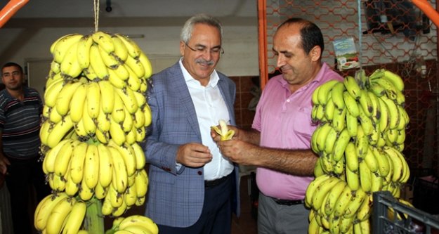 AYDIN ALANYA'DAN DESTEK İSTEDİ