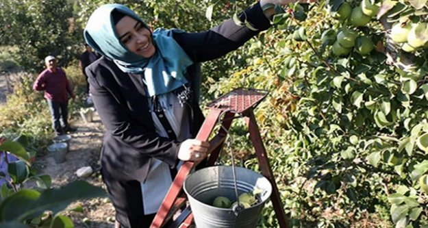 ÇELİK'TEN BİR MÜJDE DE ÇİFTÇİLERE