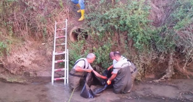 SULAMA KANALINDA ERKEK CESEDİ BULUNDU