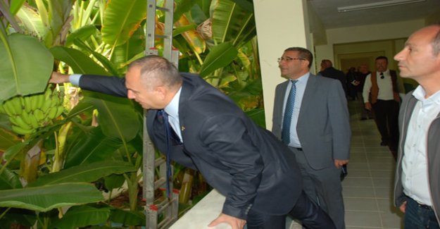 ALANYA MUZ'U DİDİM'DE