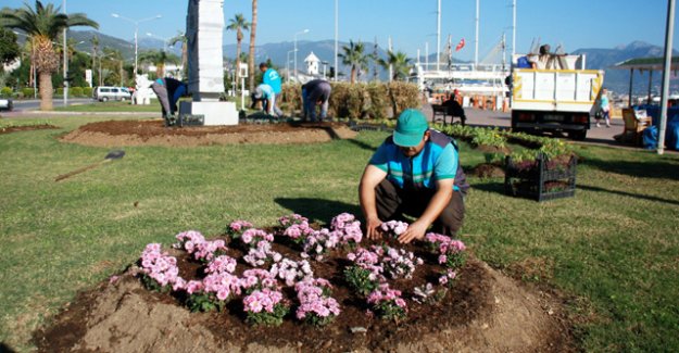 ALANYA’DA KIŞLIK ÇİÇEKLER PARKLARI SÜSLEMEYE BAŞLADI