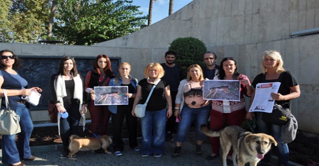 ÖLDÜRÜLEN KÖPEK İÇİN EYLEM