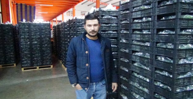 RUSYA KRİZİ ÜRETİCİYİ FENA VURDU