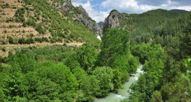 BİLİRKİŞİ HEYETİ, O KATLİAMA GÖZ YUMMADI