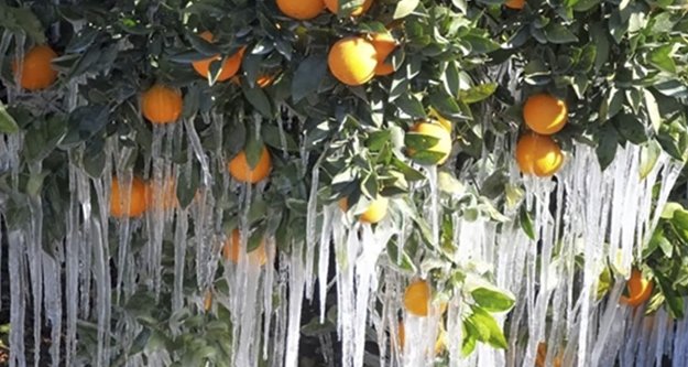 DİKKAT! METEOROLOJİ'DEN DON UYARISI