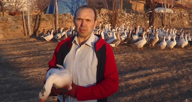 OTELLERİN KAZ VE HİNDİ İHTİYAÇLARI...