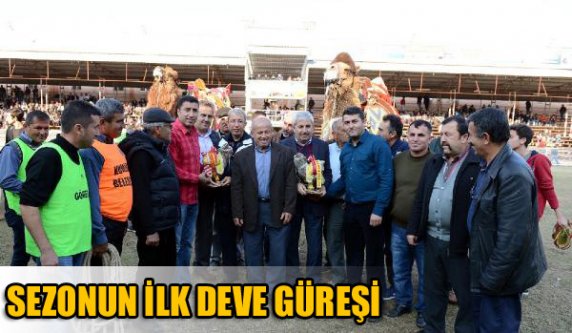 SEZONUN İLK DEVE GÜREŞİ