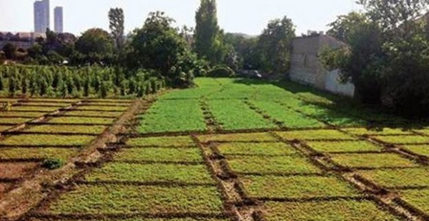 TARIM VE TURİZM TEHDİT ALTINDA