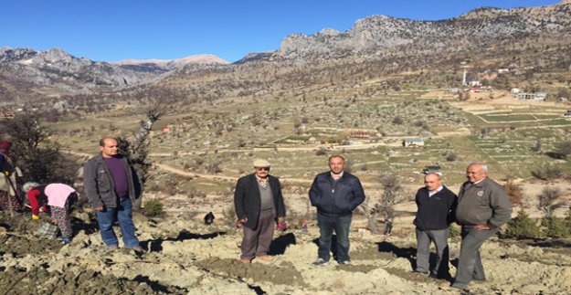 TOROSLARDA ORMANLAR GENÇLEŞTİRİLİYOR