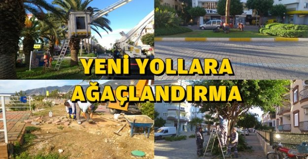 YENİ YOLLARA AĞAÇ DİKİMİ BAŞLADI