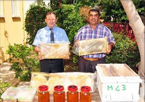 ALANYA'DA 287 TON BAL ÜRETİLDİ