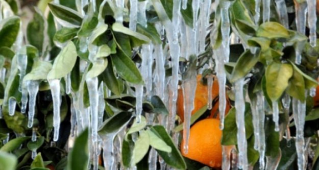 ALANYA İÇİN KRİTİK 3 GÜN