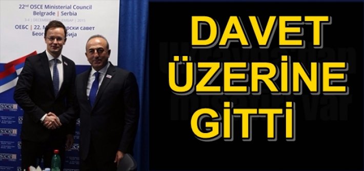 ÇAVUŞOĞLU MACARİSTAN'DA
