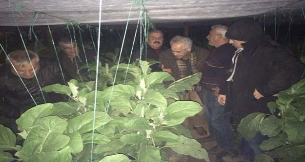 CHP ÜRETİCİNİN YANINDA