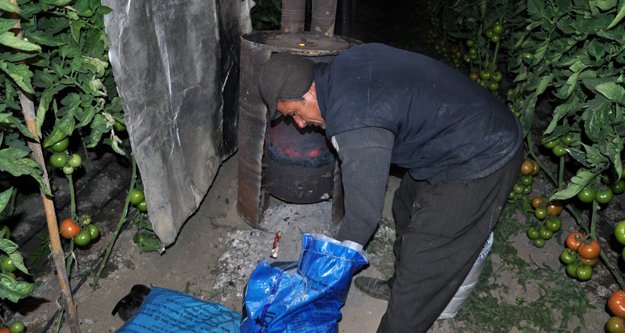 DOMATESLERİ AMBARGODAN SONRA DON VURDU