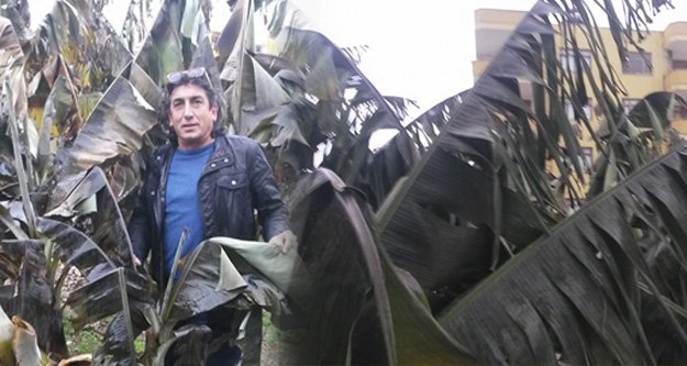 'MUZU DONAN BAŞVURU YAPSIN'