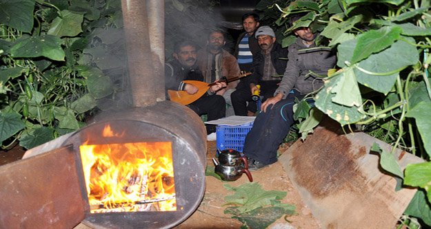 'SERADA SOBAYI YAKIN, TARIM SİGORTASINA GÜVENMEYİN'