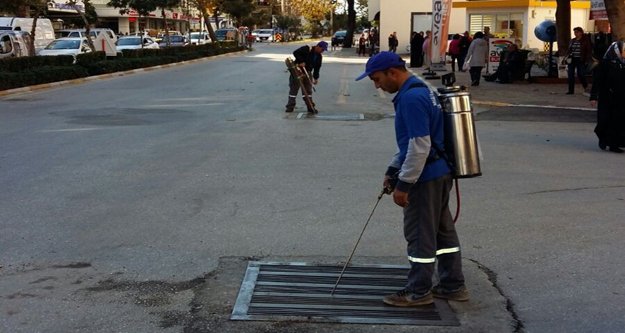 SİNEK YUVALARI İLAÇLANIYOR