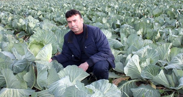 FRANSA'YA LAHANA İHRACATI