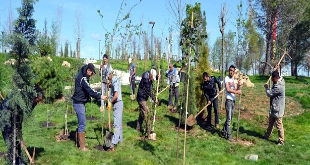 81 İLİN SEMBOL AĞAÇLARI EXPO'DA BULUŞTU